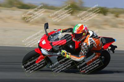 media/Feb-04-2023-SoCal Trackdays (Sat) [[8a776bf2c3]]/Turn 6 Inside (1025am)/